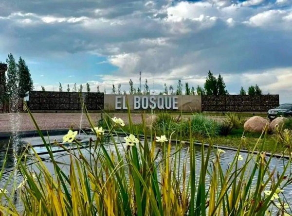 Lote | Rodeo Del Medio | Maipu