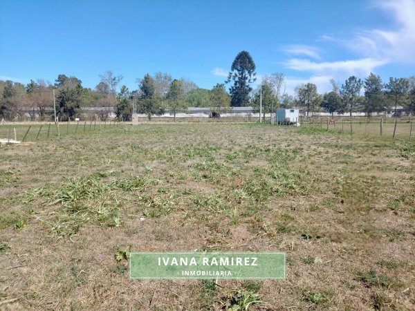 Lote | Villa Ruiz | Gil