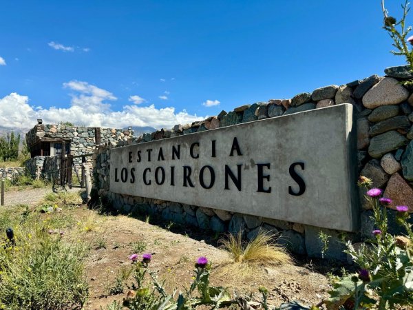 Lote | Tupungato