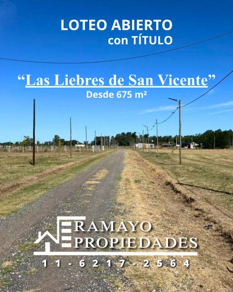 Lote | San Vicente