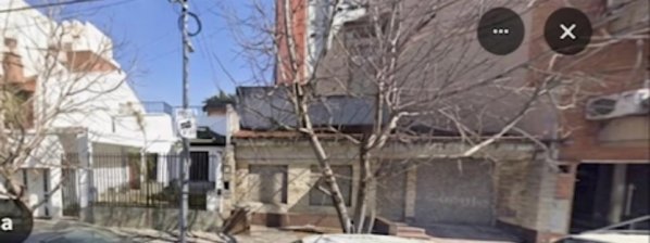 Lote | Floresta