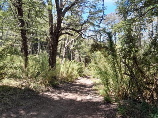 Lote | San Martin De Los Andes
