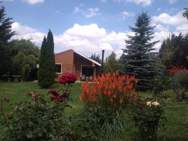 Negocio en venta | Potrerillos | Lujan De Cuyo
