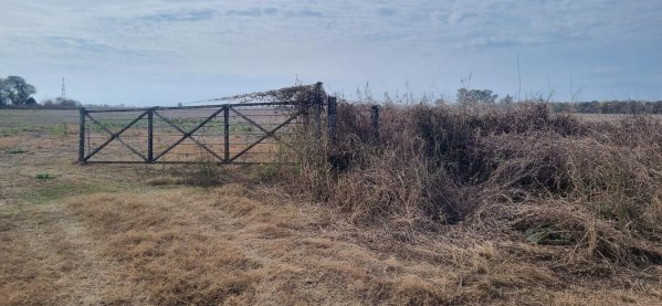 Campo en venta | Las Tunas