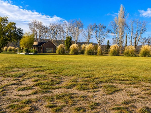 Lote | Perdriel | Lujan De Cuyo