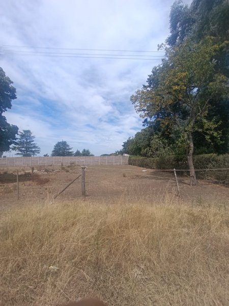 Lote | Tandil