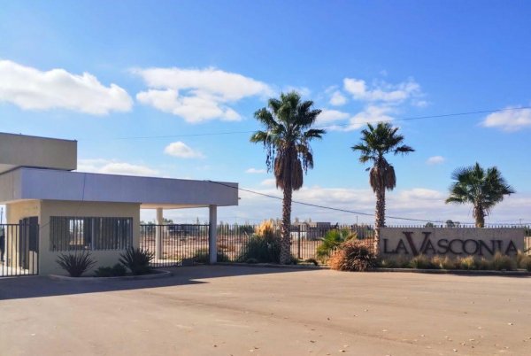 Lote | Coquimbito