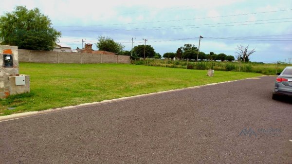 Lote | Pergamino