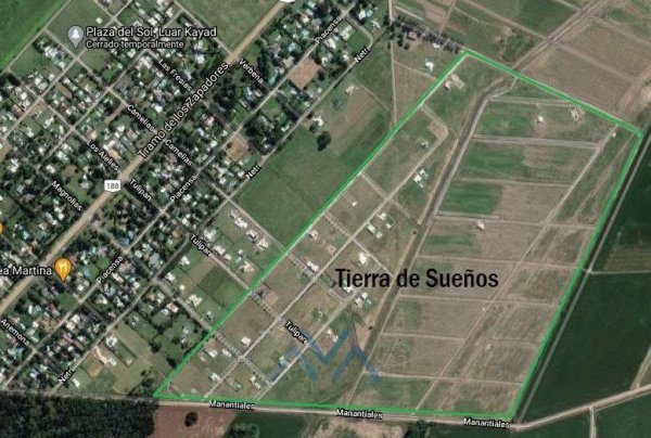 Lote | Luard Kayad | Pergamino