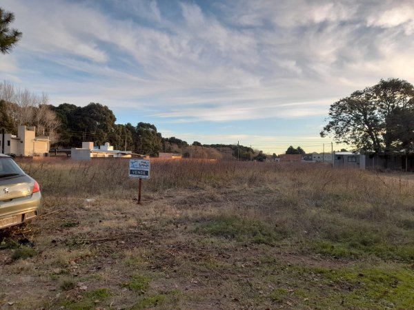 Lote | San Bernardo