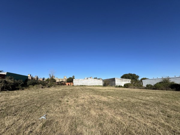 Lote | Parana