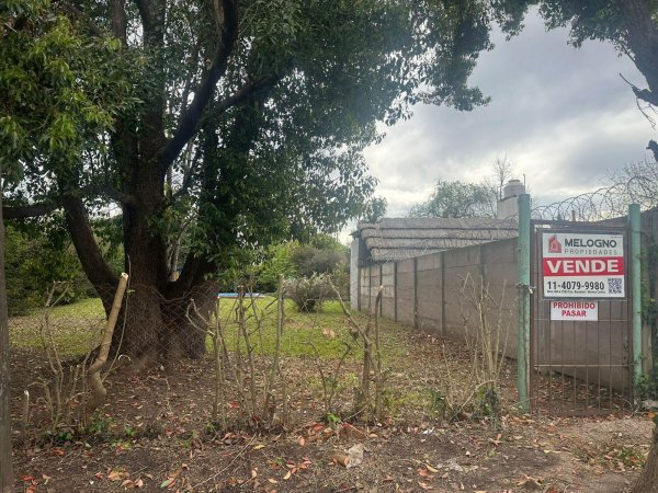 Lote | Francisco Alvarez | Gonzalez Moreno