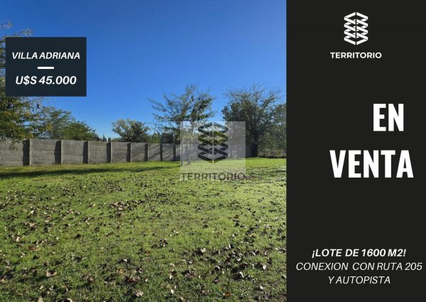 Lote | Villa Adriana | Ca&ntilde;uelas