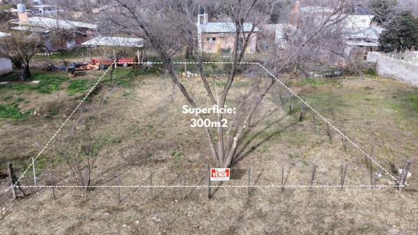 Lote | Mina Clavero