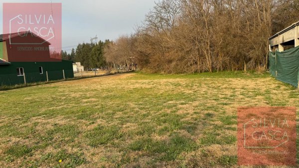 Lote | Medal Country club | Pilar
