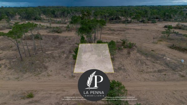 Lote | Bosque | Pinamar