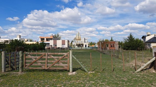 Lote | Domselaar