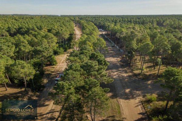 Lote | Pinamar