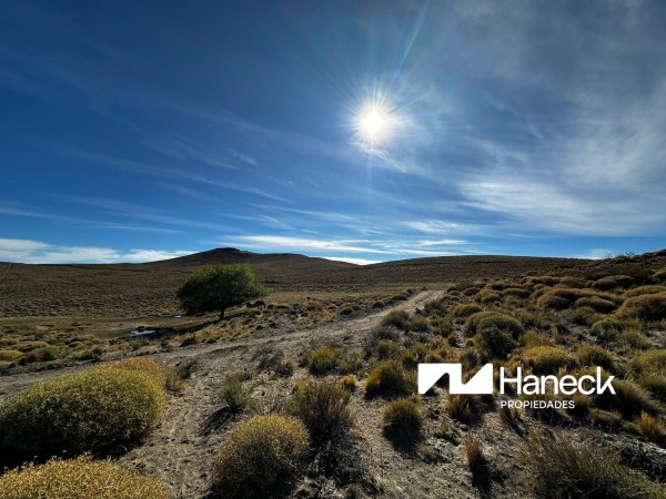 Campo en venta | Pilcaniyeu Viejo | Pilcaniyeu