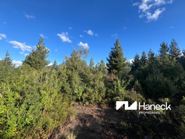 Lote | Las Victorias | San Carlos De Bariloche