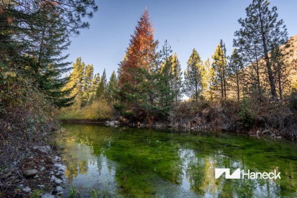 Campo en venta | El Bolson