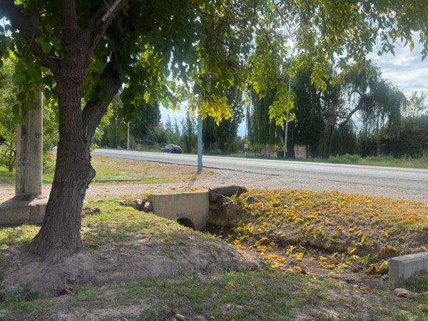 Lote | Russell | Maipu