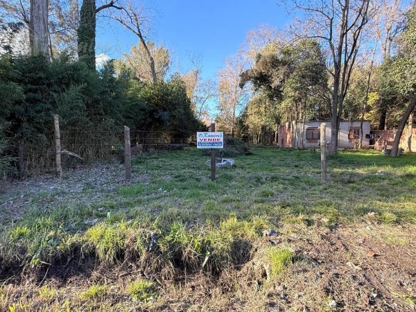 Lote | Francisco Alvarez | Gonzalez Moreno