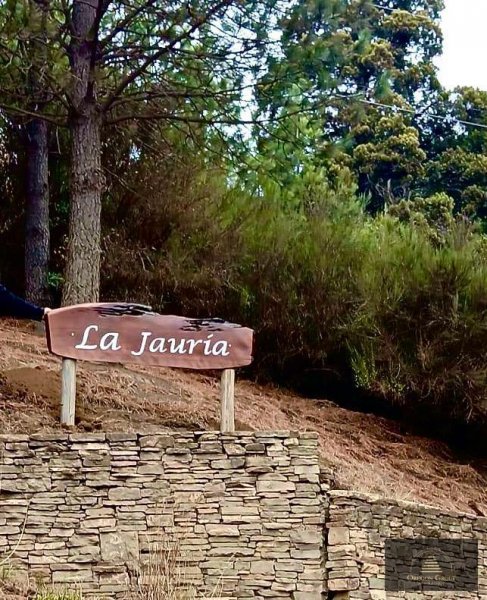 Lote | La Jaur&iacute;a | San Martin De Los Andes