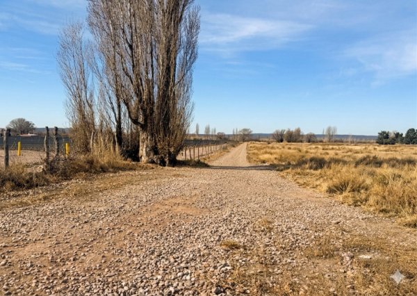 Lote | Agrelo | Lujan De Cuyo