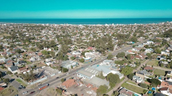 Lote | Mar Del Plata