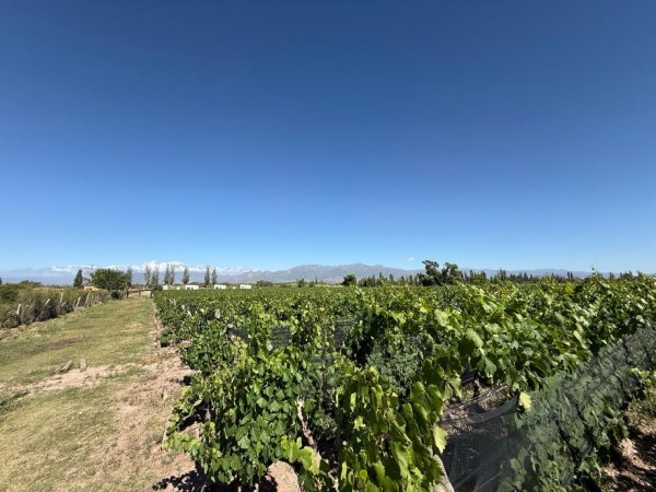 Casa en venta | Perdriel | Lujan De Cuyo