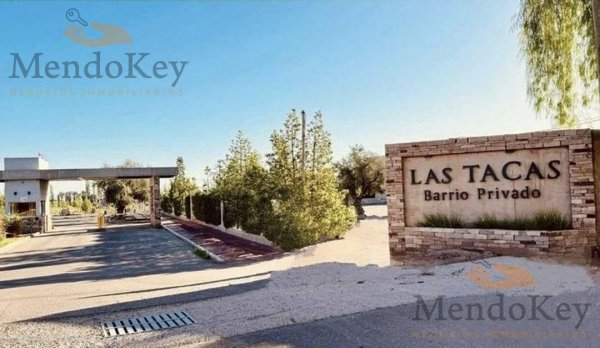 Lote | Coquimbito