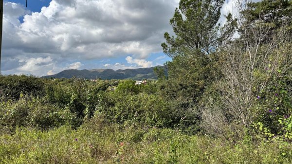 Lote | Villa Giardino