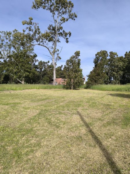Lote | Tandil