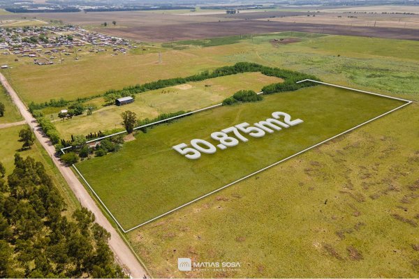 Campo en alquiler | Mar Del Plata