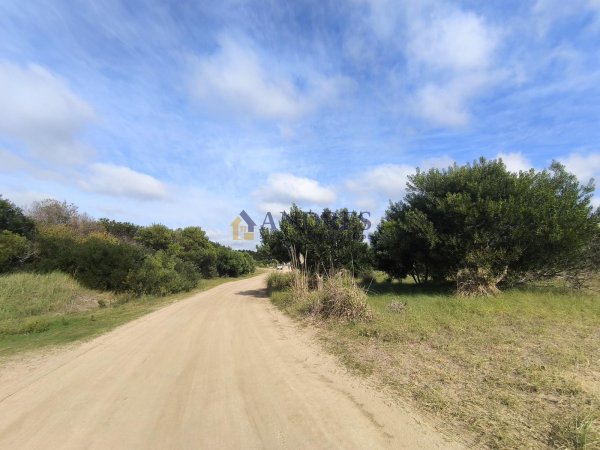 Lote