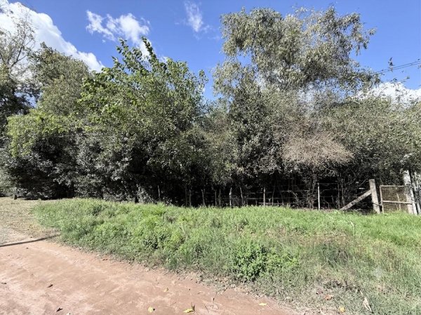 Lote | Santa Anita | Ca&ntilde;uelas
