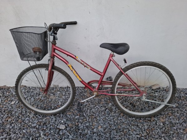 Bicicleta playera rodado 24