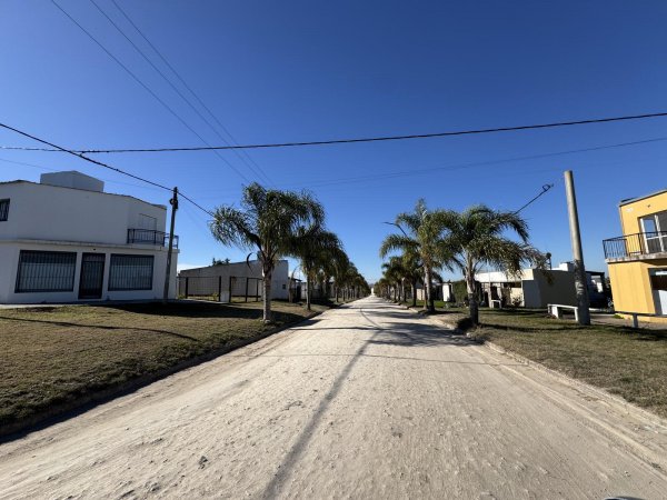 Lote | Colonia Ensayo | Diamante