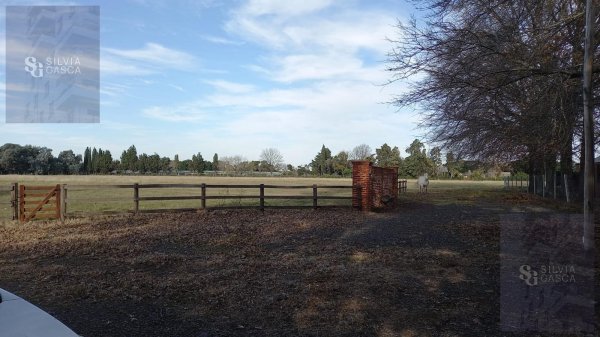 Campo en alquiler | 15 ambientes | Pilar