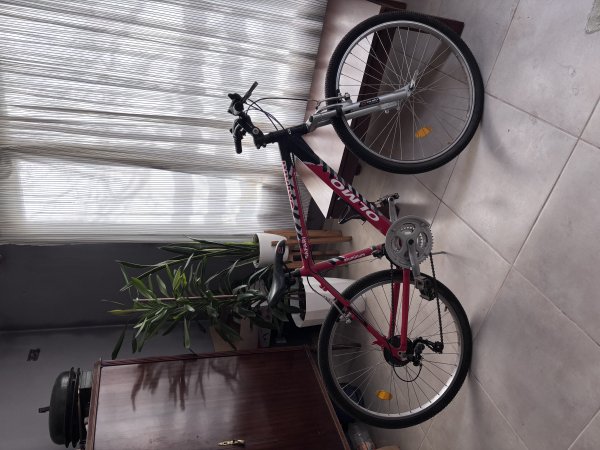 BICICLETA OLMO SAFARI