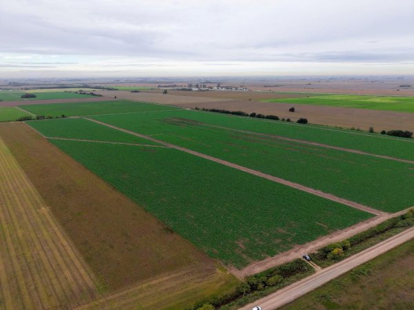 Campo en venta | Fighiera
