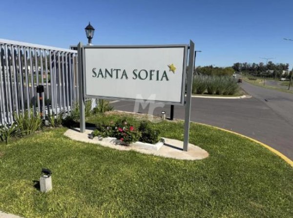 Lote | Santa Sof&iacute;a | Pilar