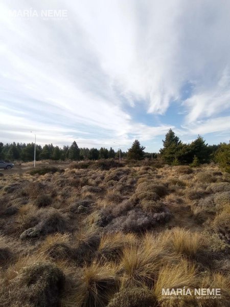 Lote | Coirones | San Carlos De Bariloche