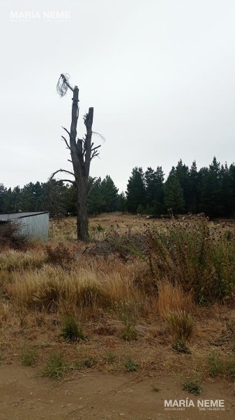 Lote | Dina Huapi | Pilcaniyeu