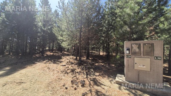 Lote | San Carlos De Bariloche