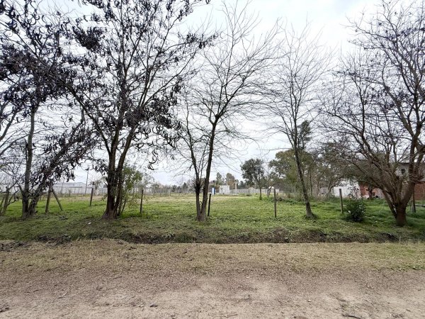 Lote | Ca&ntilde;uelas