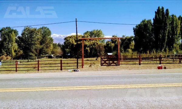 Lote | Uspallata