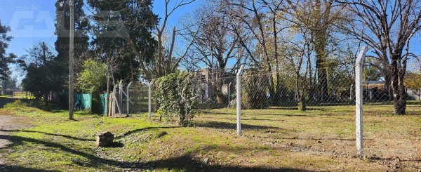 Lote | Merlo