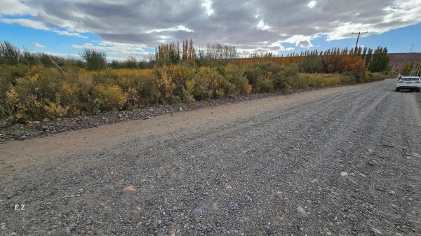 Lote | A&ntilde;elo